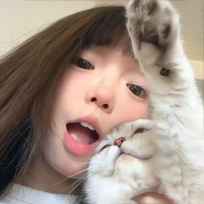 猫咪寻熊记